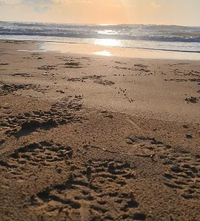 Guardamar Del Segura *